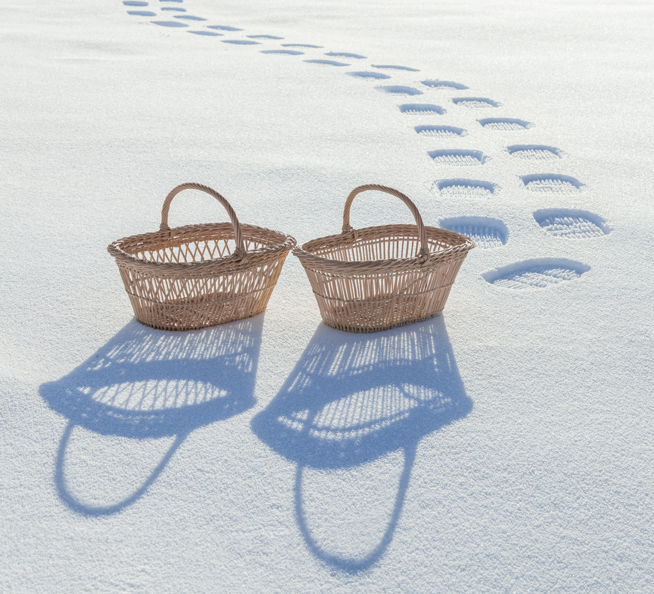 Deux paniers se baladent dans la neige. Derrière eux, on voit leurs empreinte dans la neige fraîche.