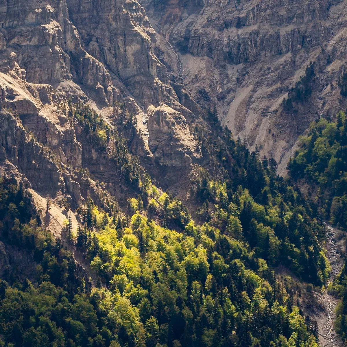 Pas de l'aiguille (détail)